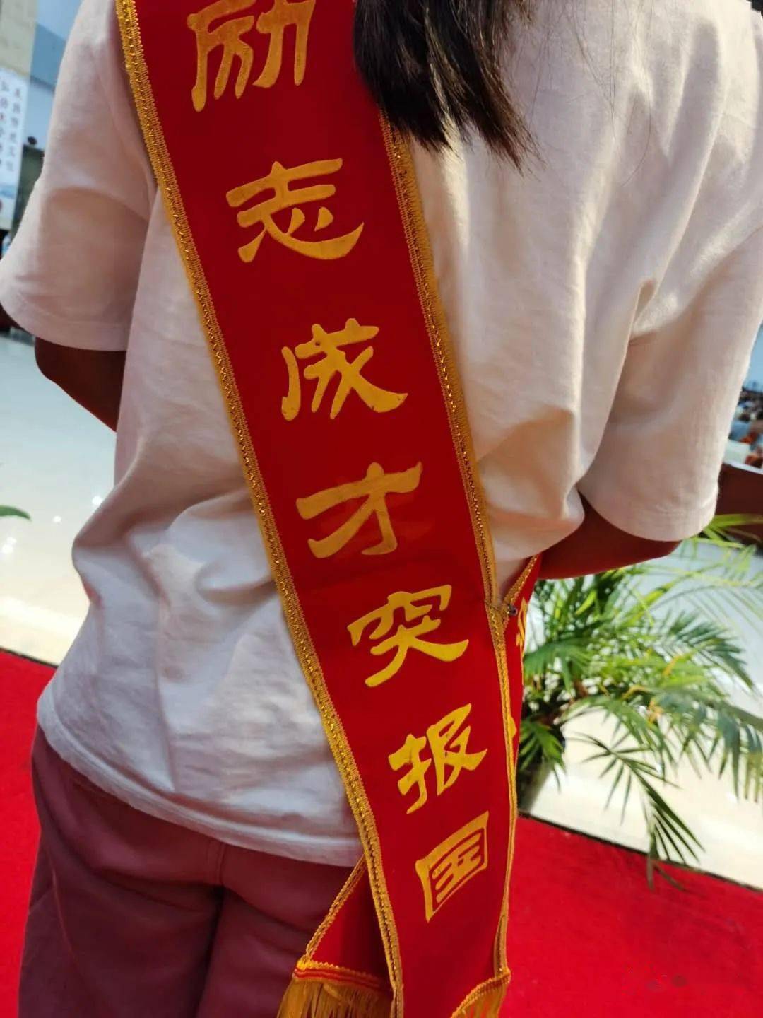 前有举旗来宾开道,中有披着红绶带的学子紧随,后有举着标语牌的代表相