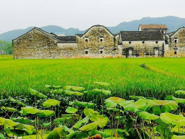 浙江诸暨璜山镇藏着一处绝美古村落文青们向往的隐居生活