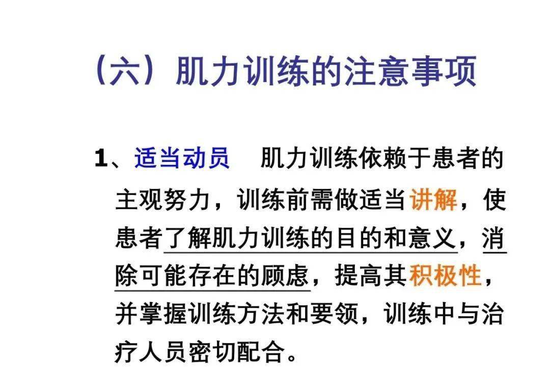 專業!肌力和肌肉耐力訓練