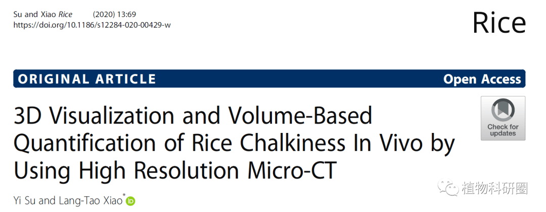 rice湖南农业大学肖浪涛团队创建水稻垩白的3d活体测定新方法
