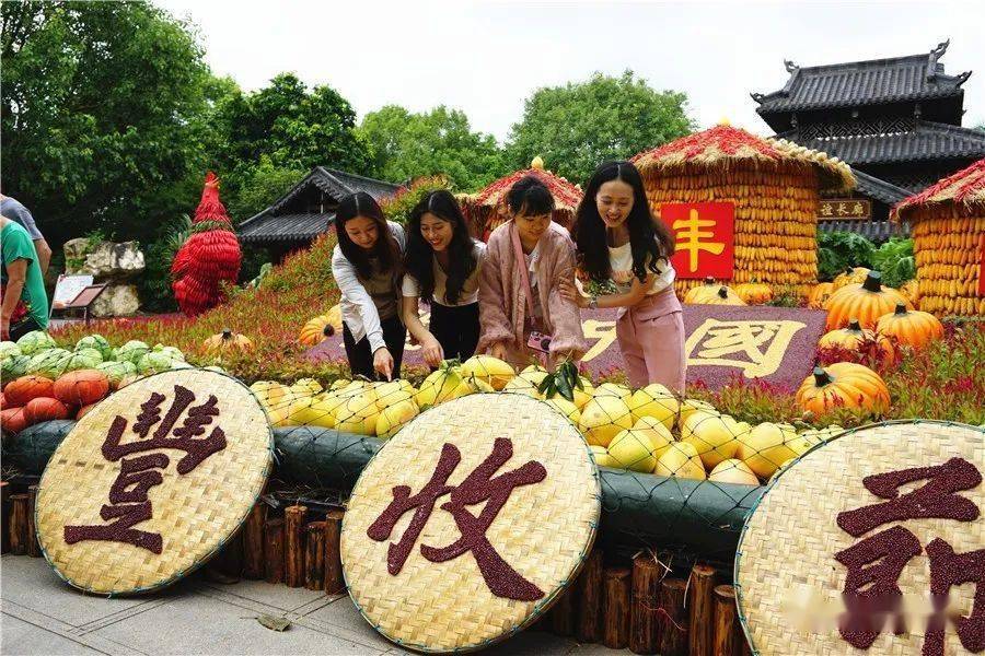 南宁稻花香里庆丰收