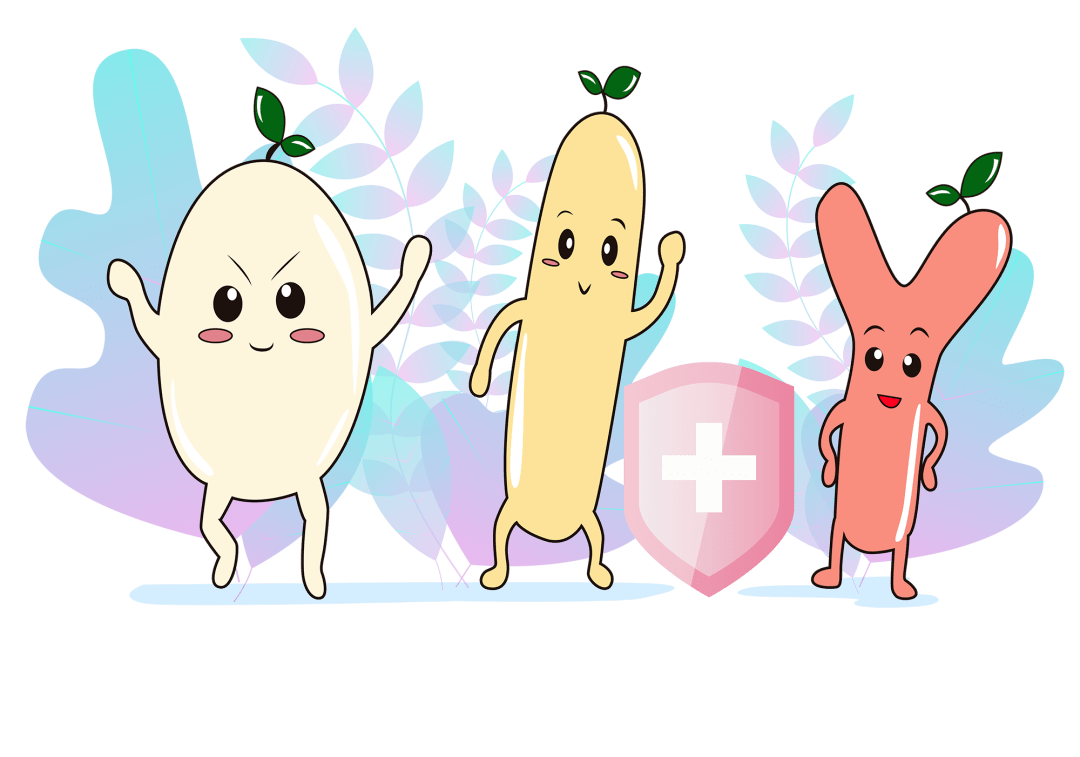 益生菌套路深怎么吃才有益