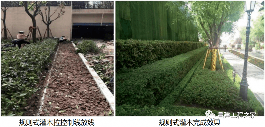 3,收边灌木宽度不低于400mm.