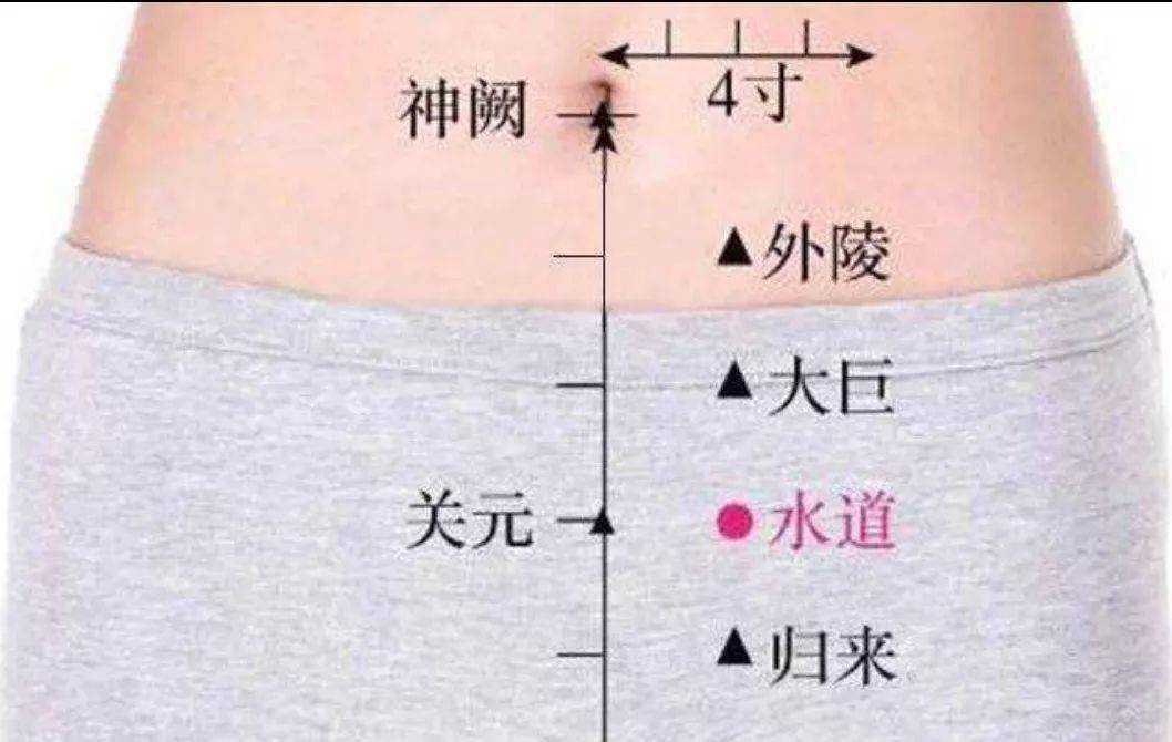 秋分开始女性重在调和阴阳阴平阳秘保持最佳状态