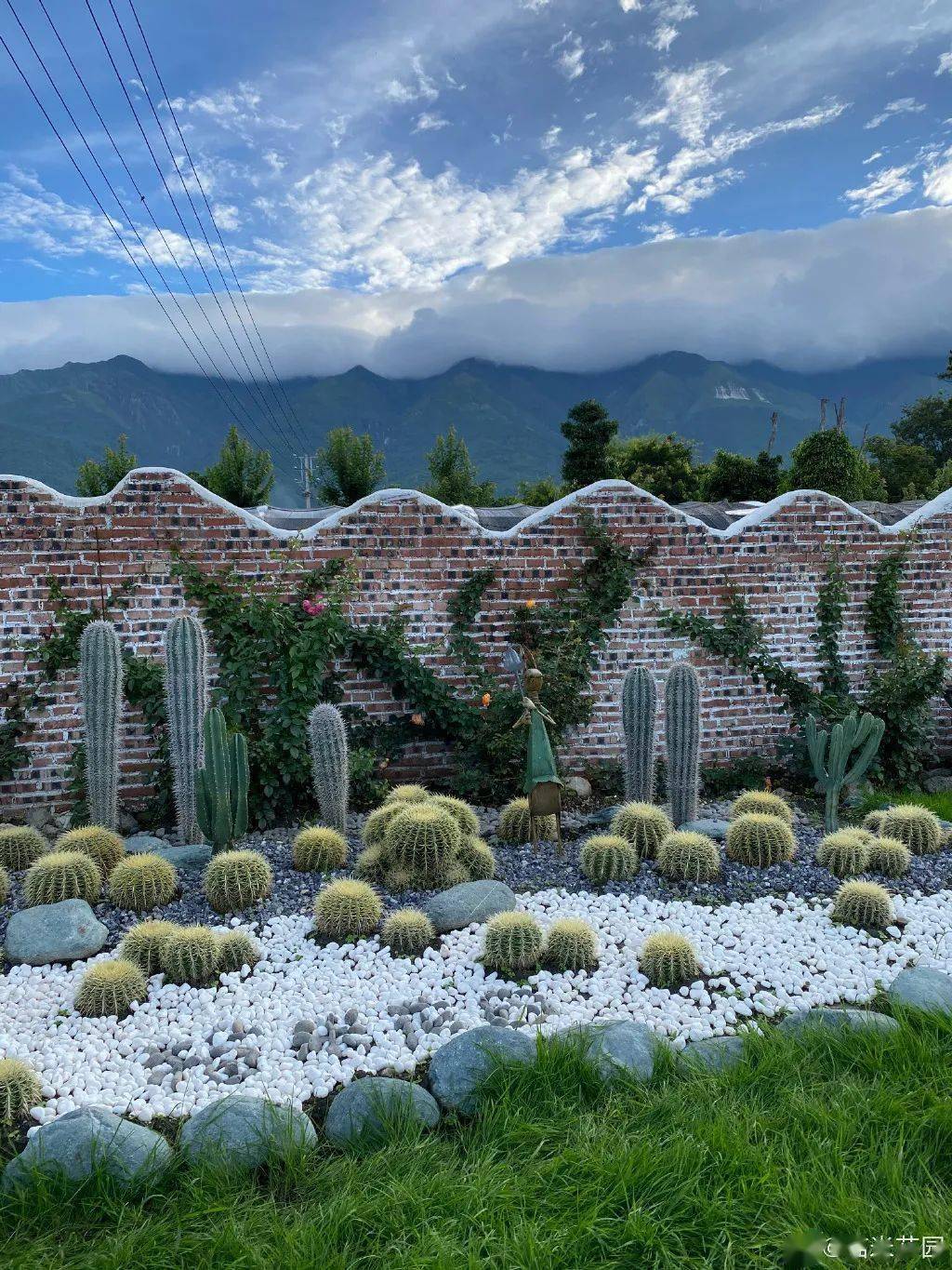 80后夫妻卖房来大理,养30万盆多肉,造6000㎡花园,美哭了所有人.