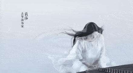 风华国乐》栏目,演奏《浣溪沙》前方唯美动图预警~它都在哪里出现过呢