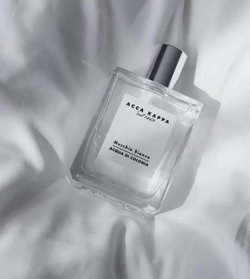 accakappa被干预的白苔记忆