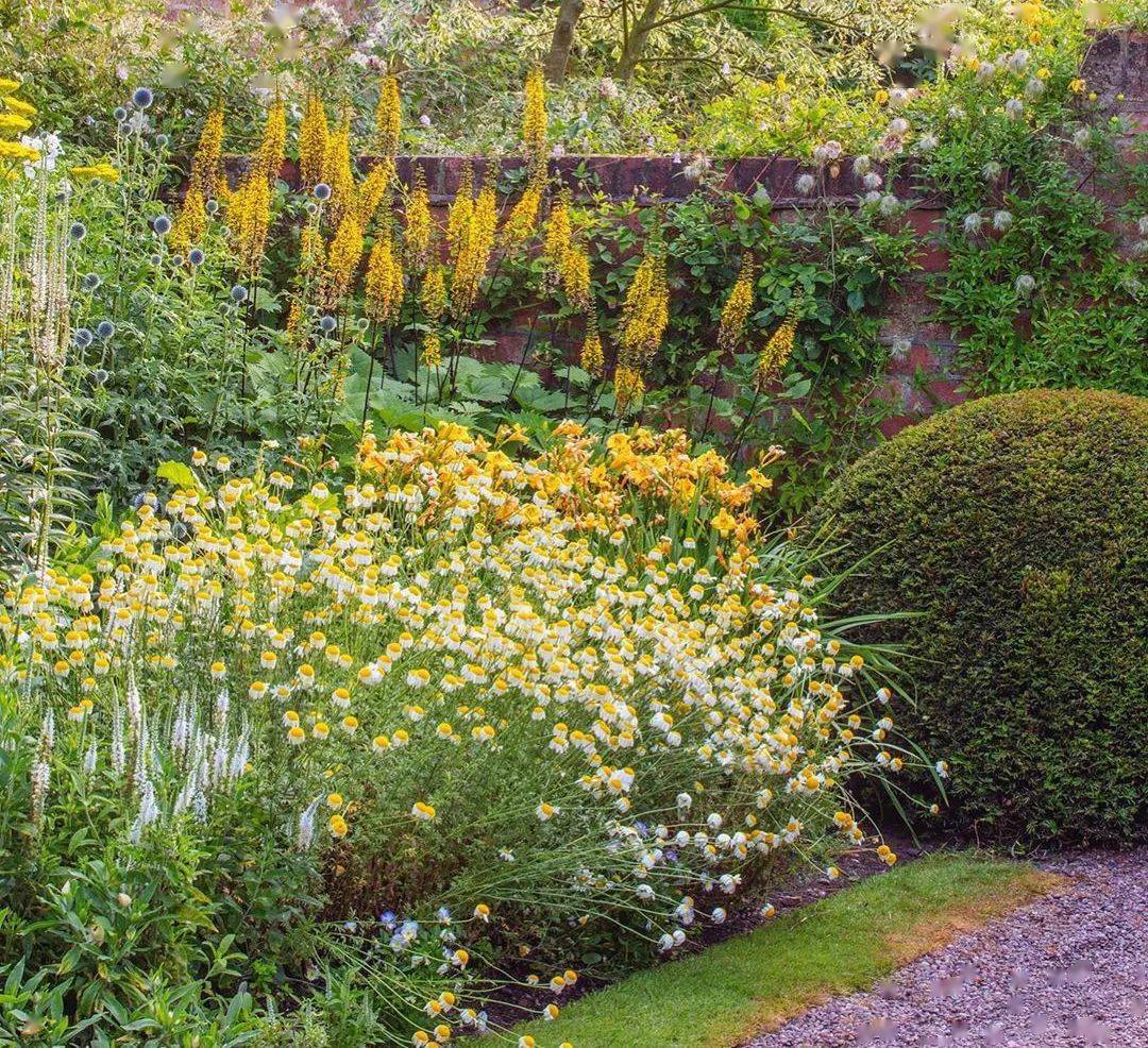 英式花园配色有多牛?看看这位顶级摄影师的作品!