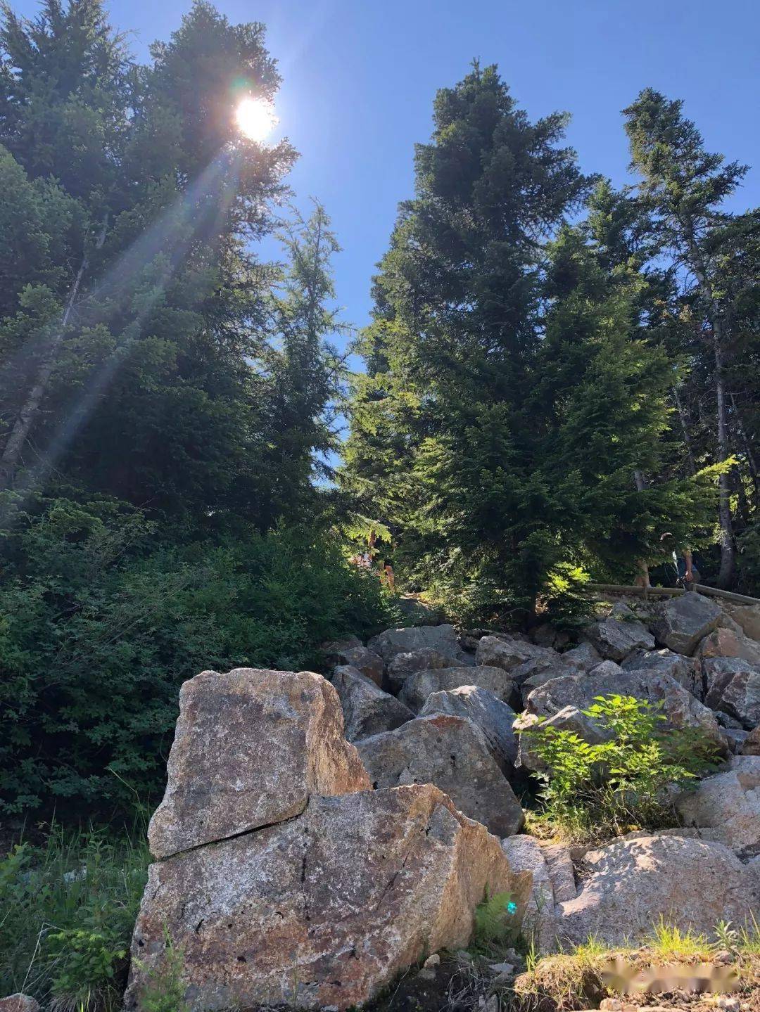 山度假胜地 cypress mountain resort baden powell trail to eagle