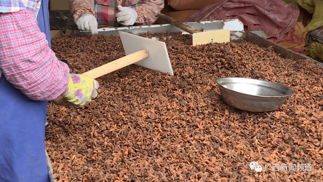 国内最大八角批发市场又曝硫磺八角怎么分辨被硫磺熏过的八角