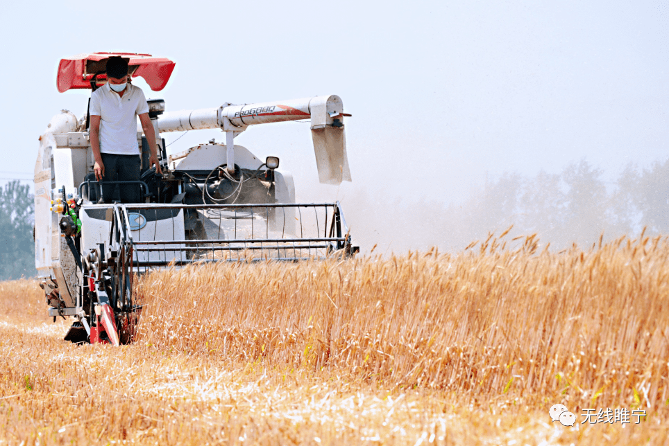 睢宁不获全胜决不收兵县委书记贾兴民接受新华日报交汇点专访