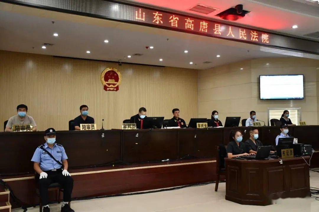 28人称霸一方残害群众聊城这个黑社会性质组织受审