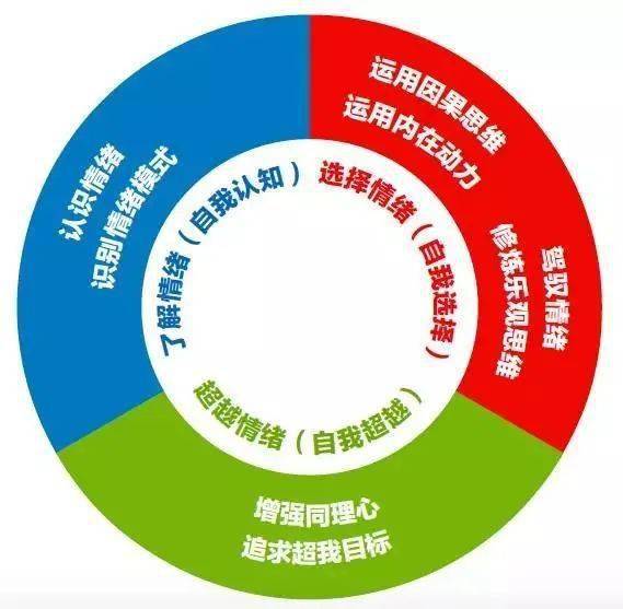 戈尔曼《情商》有时就是需要,直言不讳_情绪
