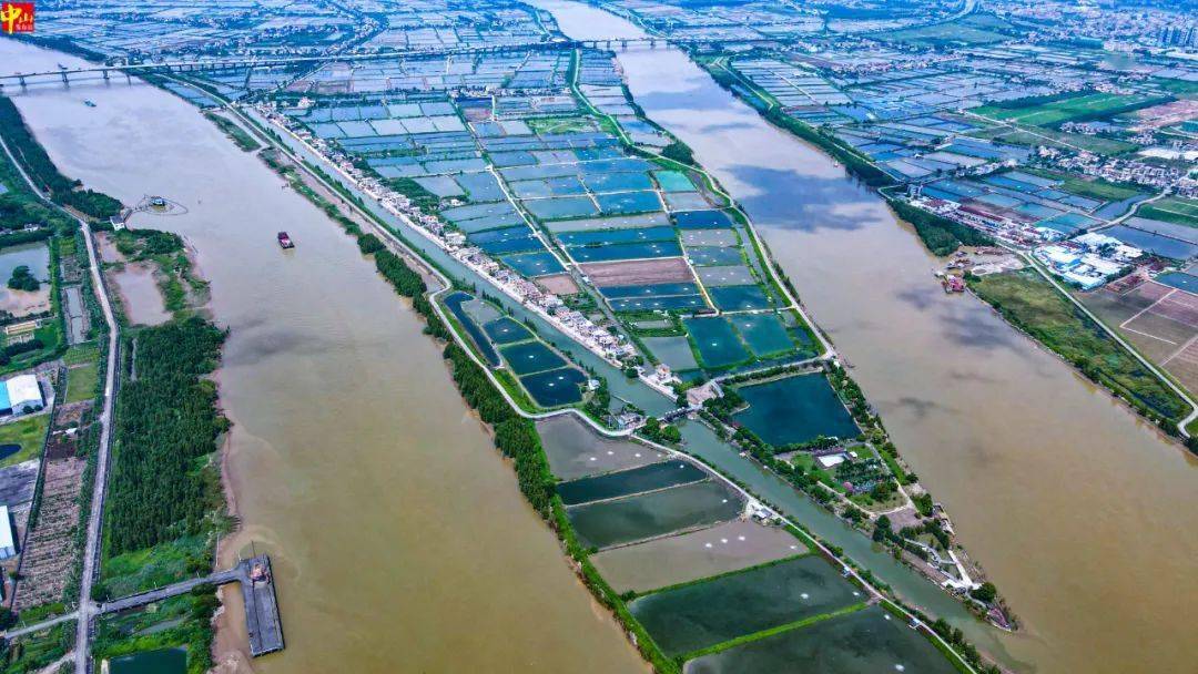 中山有一座旅游小岛,风景绝美!在城区附近_手机搜狐网