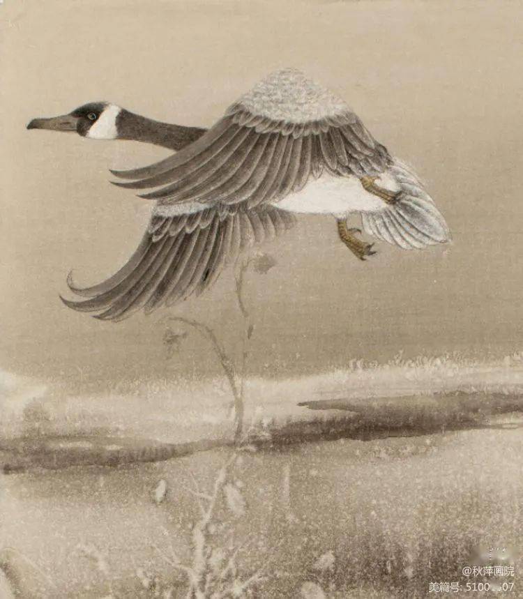 秋萍画室西城分校限时招生中ing…_工笔画