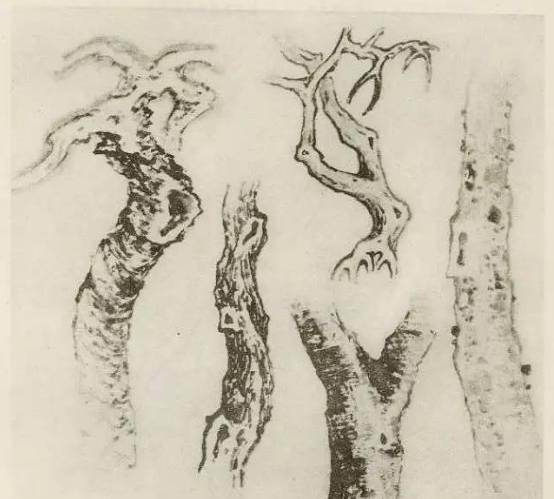 【国画教程】怎样画树?不妨看看这里_树木