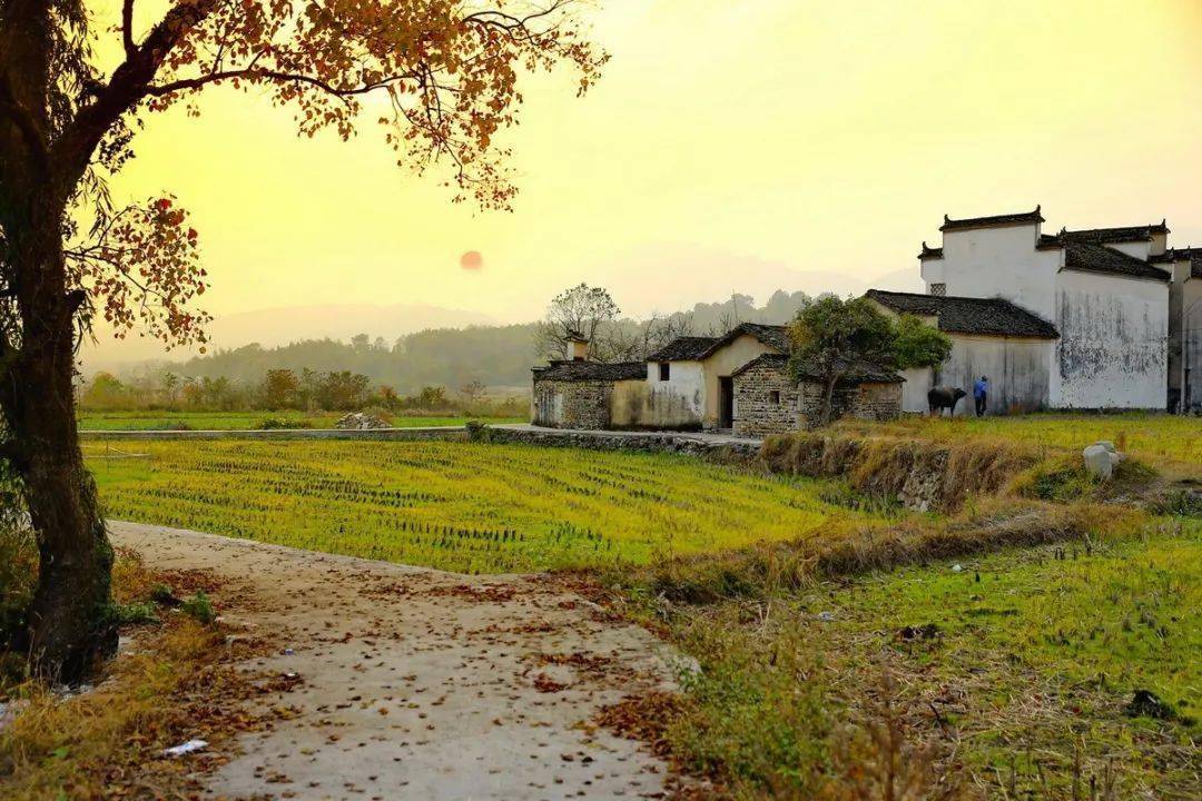 散文乡村秋景图