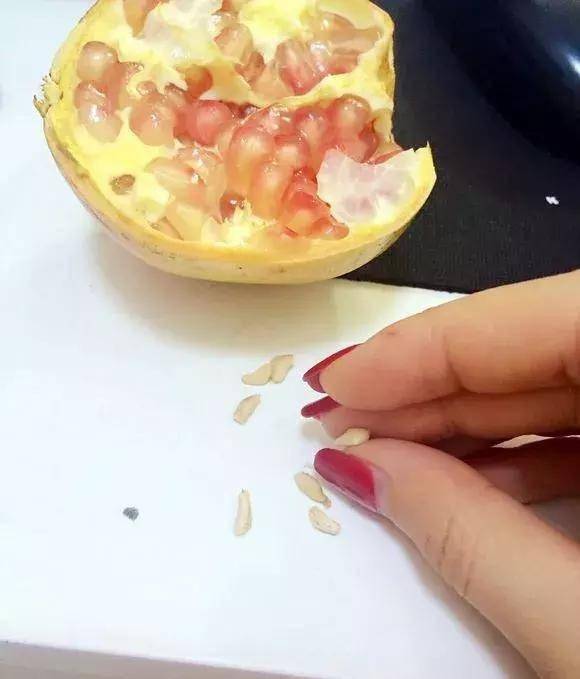 中秋吃水果3种果核扔盆里1月以后大变样