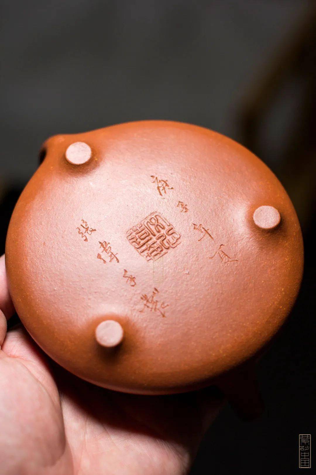 石瓢底部进化史