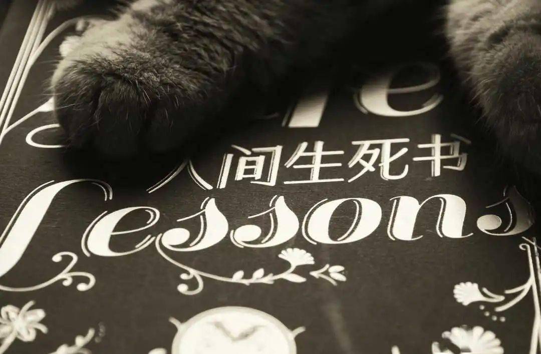 当你感到人生迷茫或不如意时一定要读人间生死书