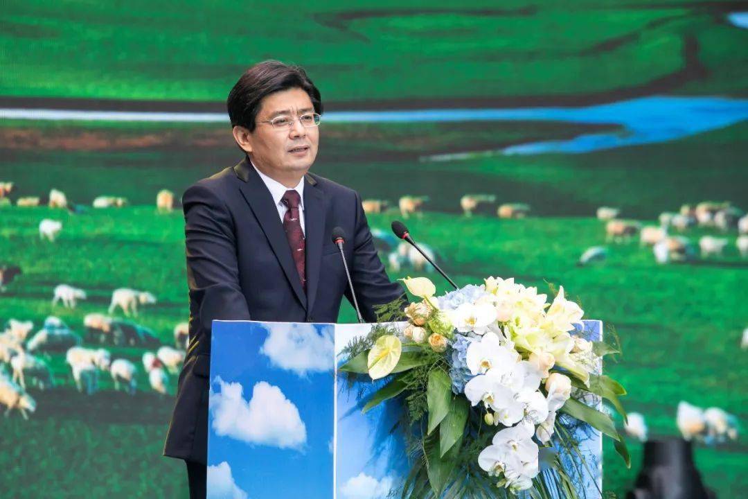 副市长王浩雷,西安市副市长王勇出席了当日的启动仪式