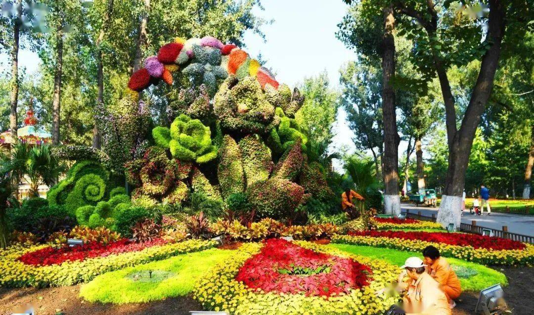 迎国庆大运河森林公园国庆摆花亮相百万株花卉赶快去打卡