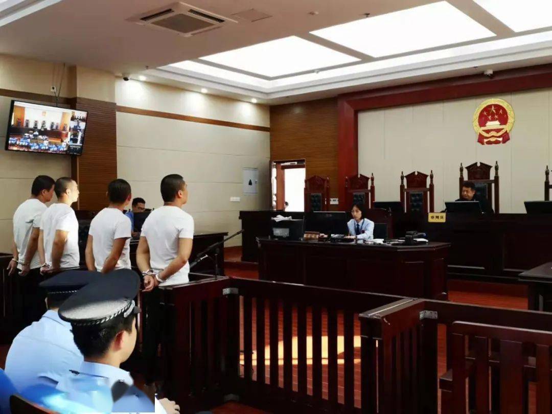 案件开庭现场据介绍,该恶势力犯罪集团以注册成立"玖陆金融服务咨询