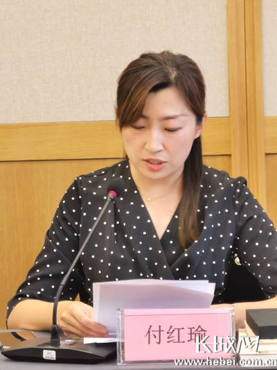 平山县委常委,宣传部长付红瑜在座谈会上发言.