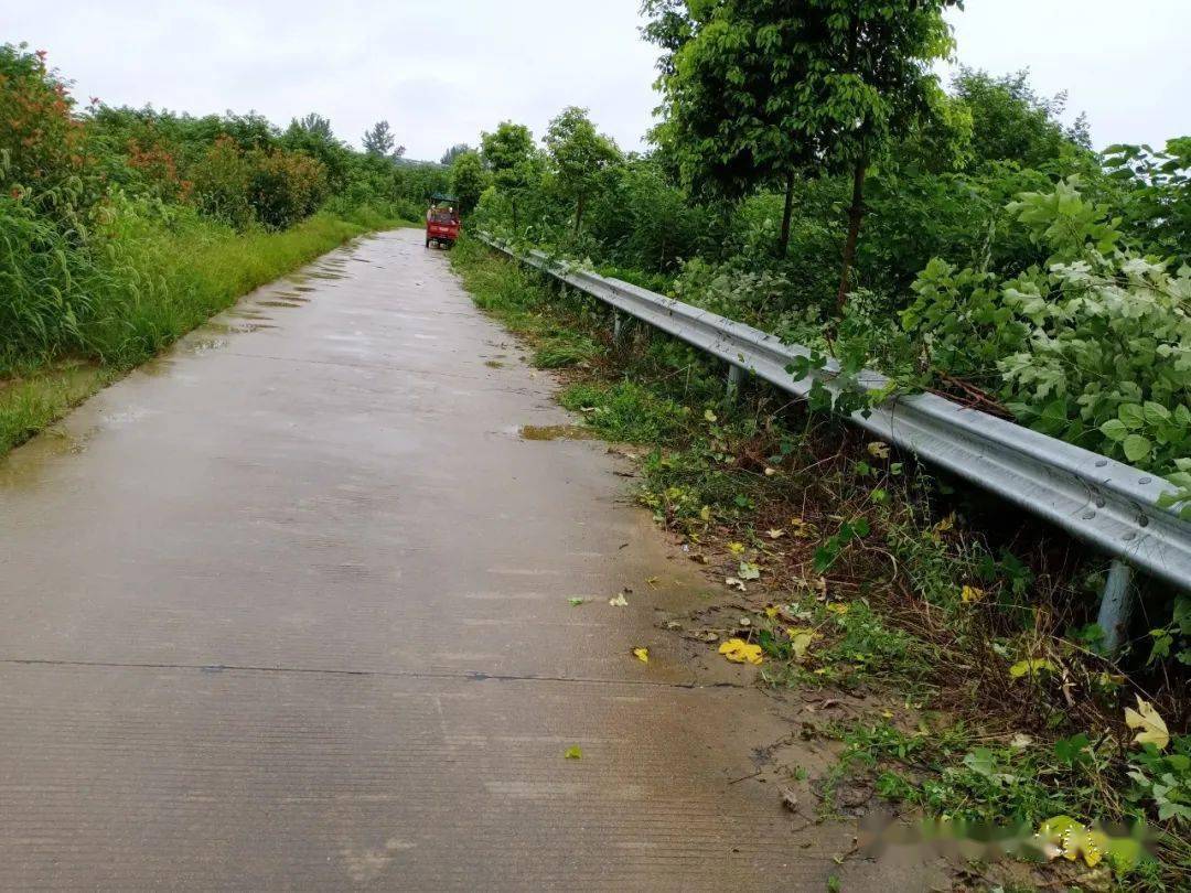 朱湖村塆大清扫崭新环境迎国庆