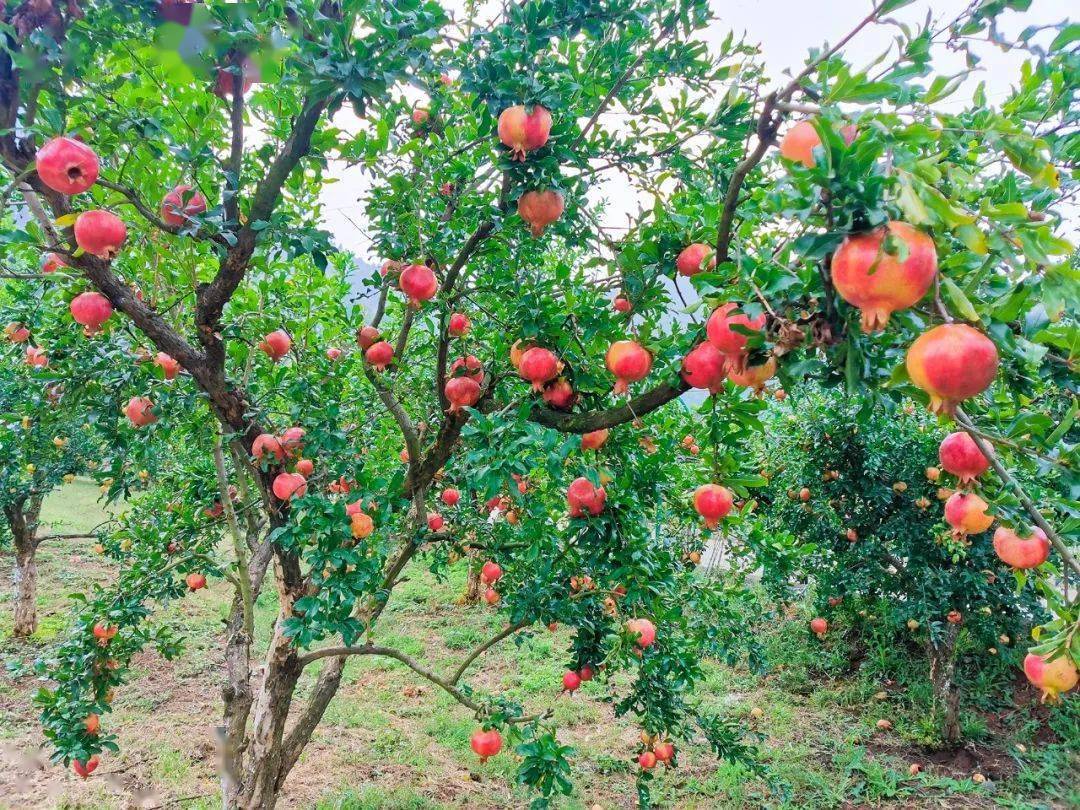 趁假期来了安排上