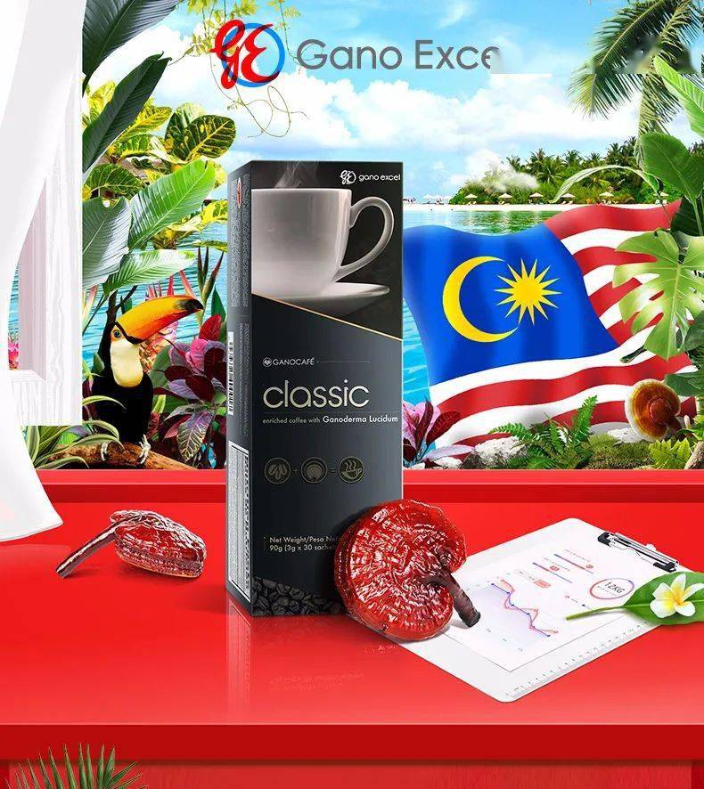 经典哈利油传之人如月饼