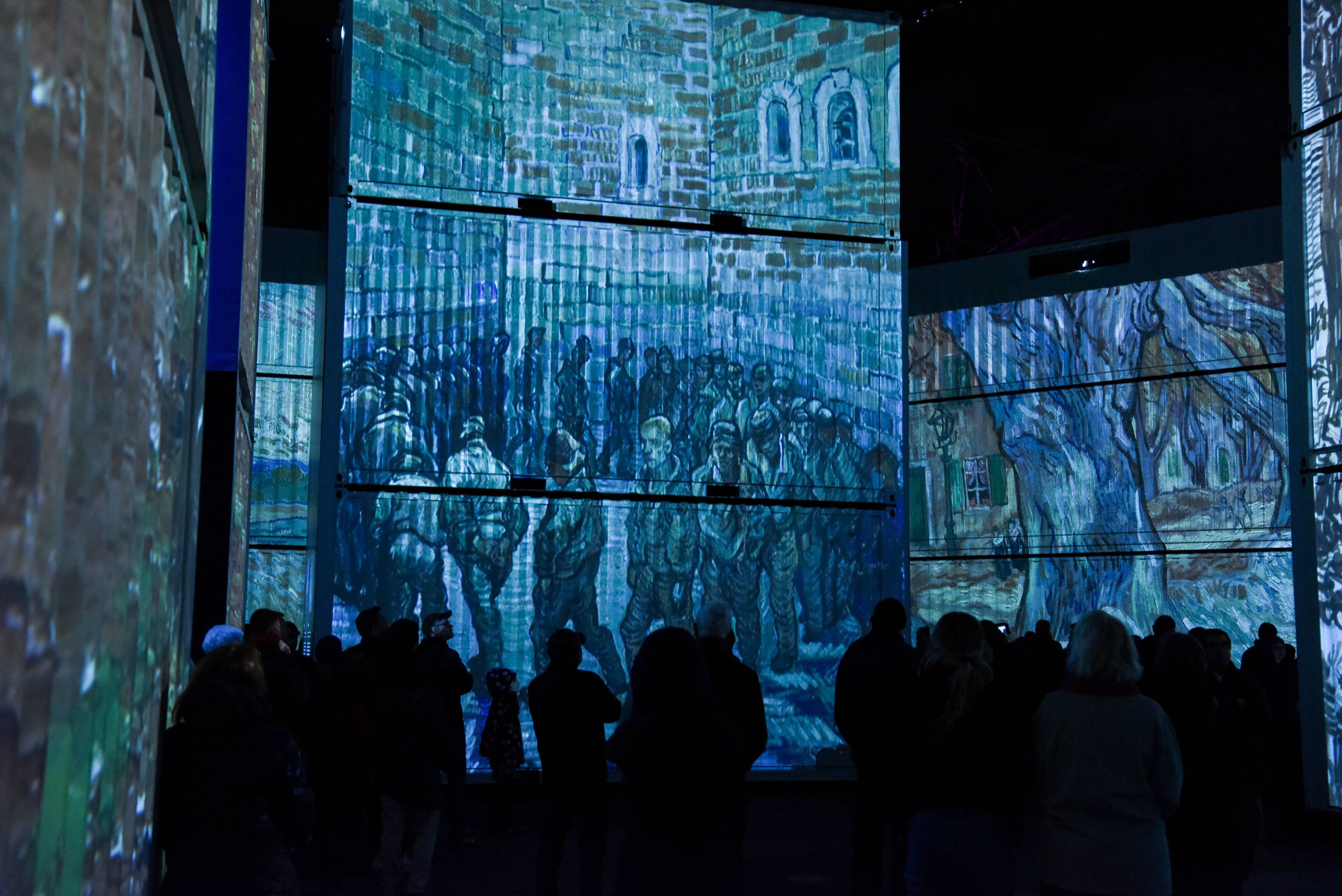 梵高沉浸式画展亮相惠灵顿