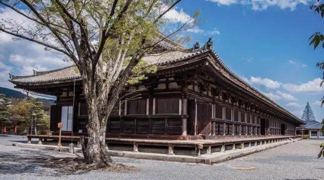 日本第一国宝:世界长度第一全木建筑,暗含中国传统文化