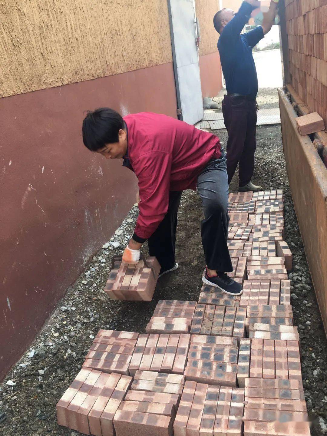 我的脱贫故事郑海婷靠卸砖致富的女能人