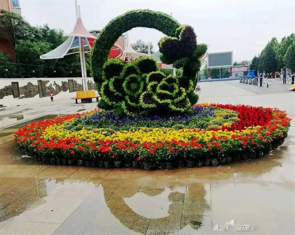 今天的北京,是全世界最美的地方!_花坛