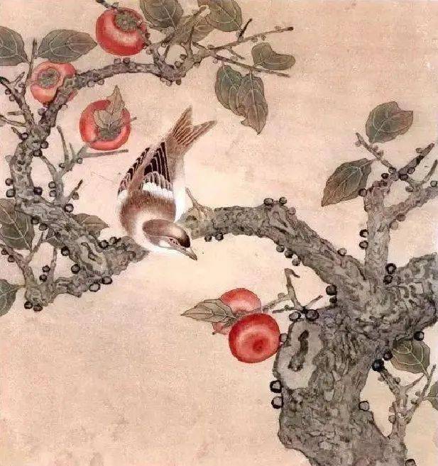 第二步:用写意法,将树干和树枝抒写后,用白描法将树叶和柿子勾描清楚.