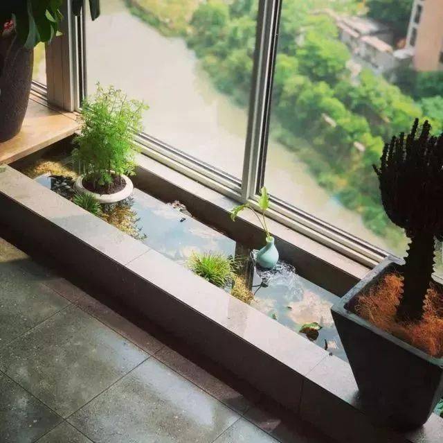 老公不顾反对在阳台做鱼池,完工后我懵了,邻居参观都眼红!