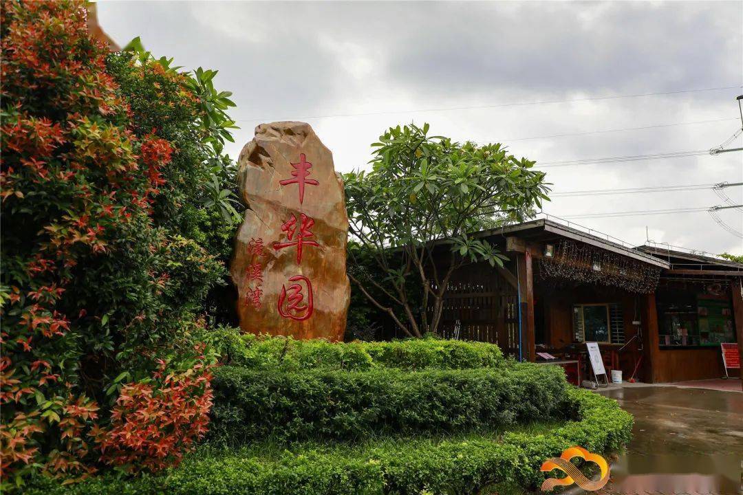 田园留影,水池嬉戏花海漫游,赏花摘果丰华园人和镇位于广州市白云区