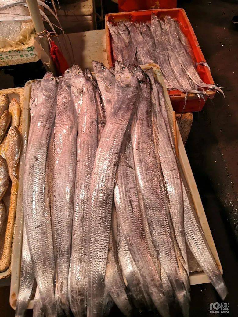 这是什么鱼?身为海边的台州人也很少见过