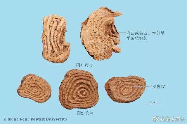 中药鉴定学速记歌诀