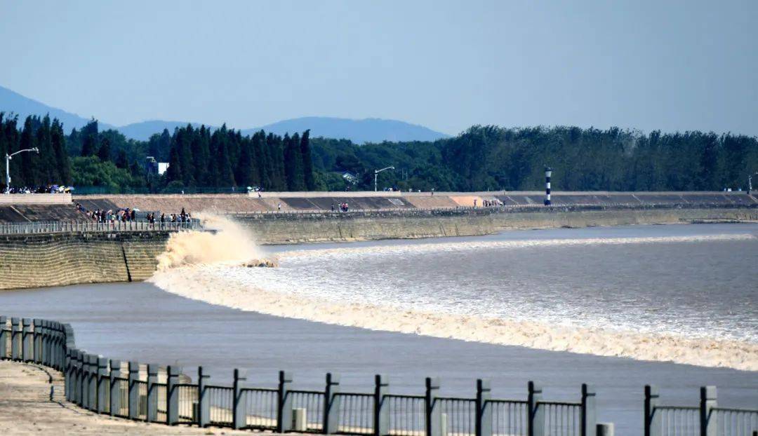 浙江海宁盐仓图片