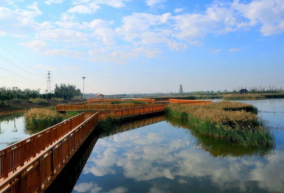 沧州湿地公园图片