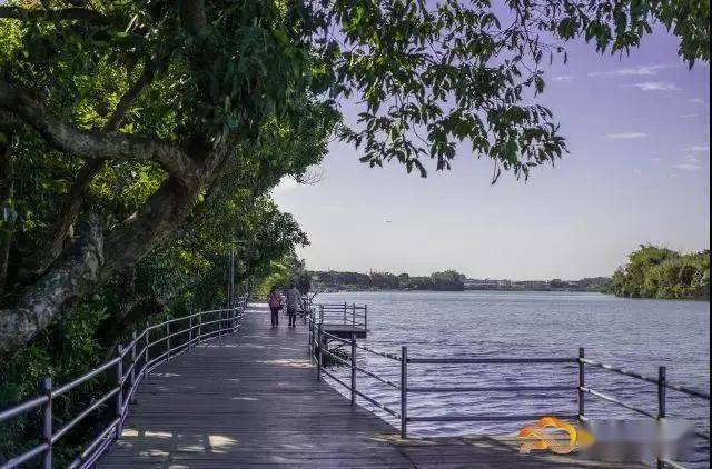 走,去钟落潭!云溪湾里摘水果,看古祠,赏绝美河滨风光.