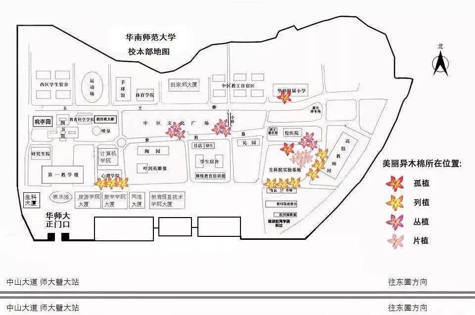 境泉课题组纳贤022020年岭南园林植物造景研究课题组秋季招新