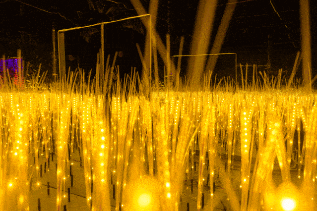 超酷炫这场奇妙星空灯光展到底凭什么引发万人空巷