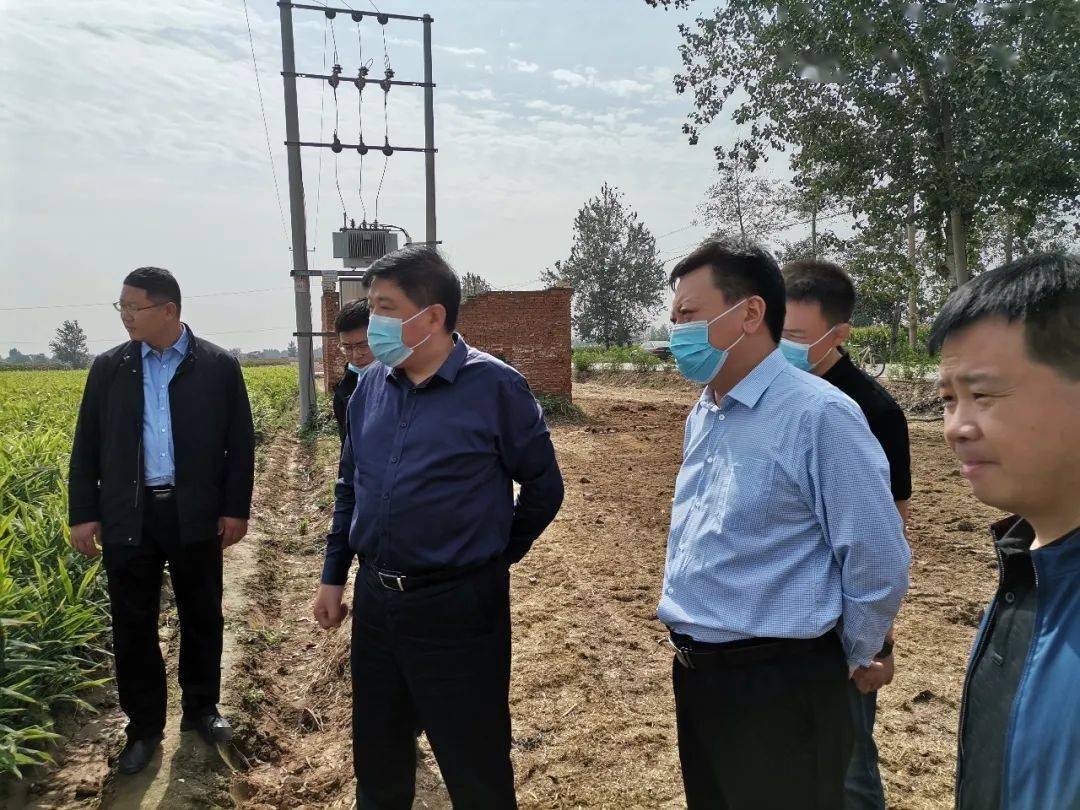 栾城区长彭勇民调研"三秋"农业生产工作