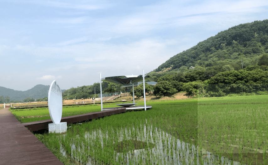 从化三大湿地公园盘点