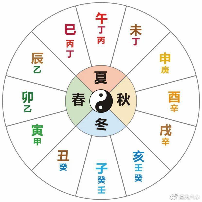 图5:十二地支阴阳图:子寅辰午申戌为阳,丑卯巳未酉亥为阴.