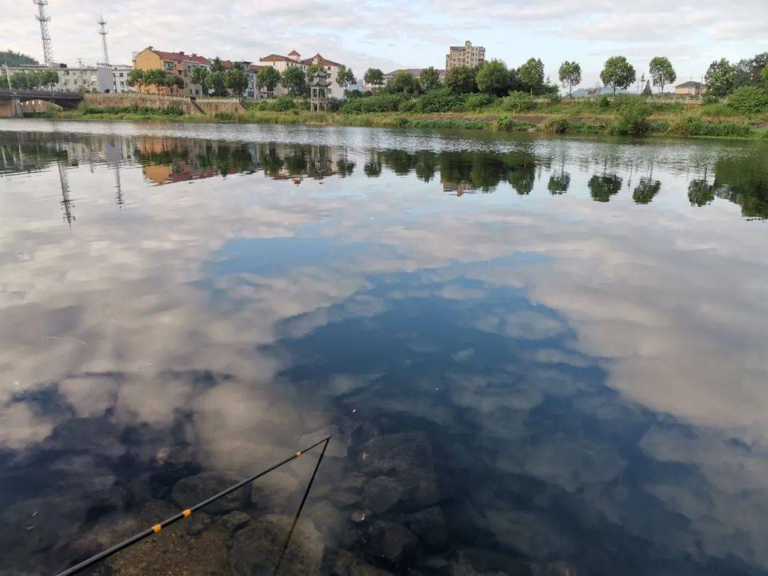 黑坑收费高规则又苛刻为啥钓鱼人反而越来越多