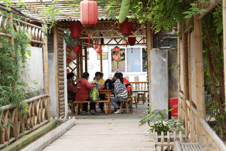 住農家院,幹農家活……這個